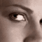 portrait5